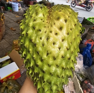 Mãng cầu Long Khánh (Đồng Nai)