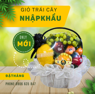Giỏ trái cây G17