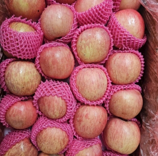 Táo ép giòn ngọt