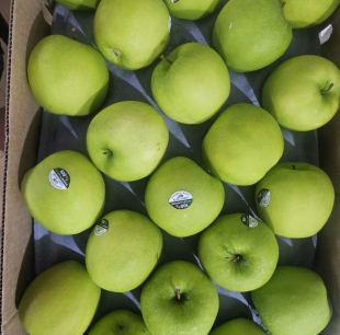 táo xanh new zealand