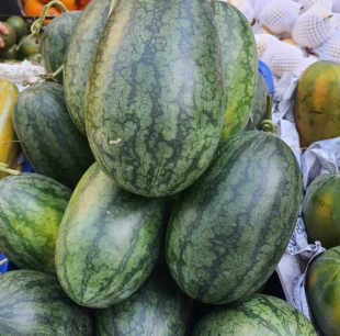 dưa hấu
